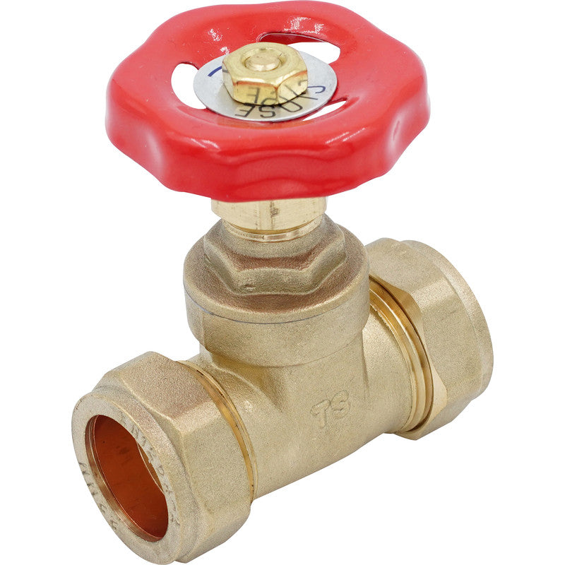 22mm Gate Valve